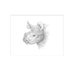 kleines Nashorn - Passepartout 30 x 24 cm